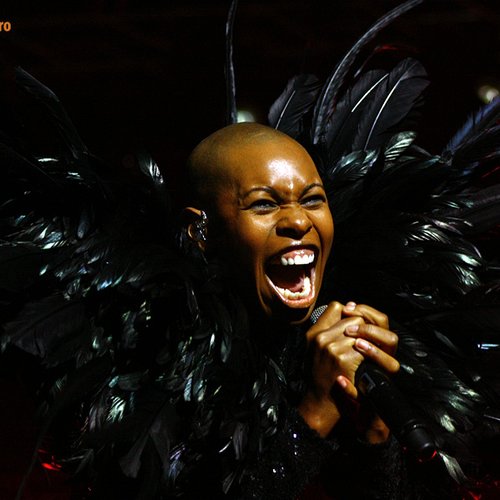 skunk-anansie-bestfest-2011-5