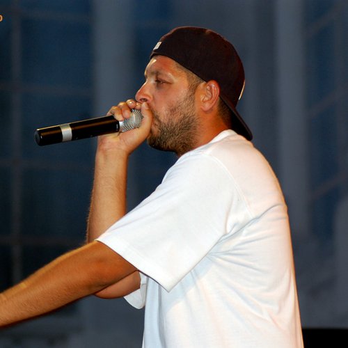 2-parazitii-concert-bucuresti-2011-6