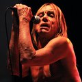 iggy-and-the-stooges-peninsula-2011