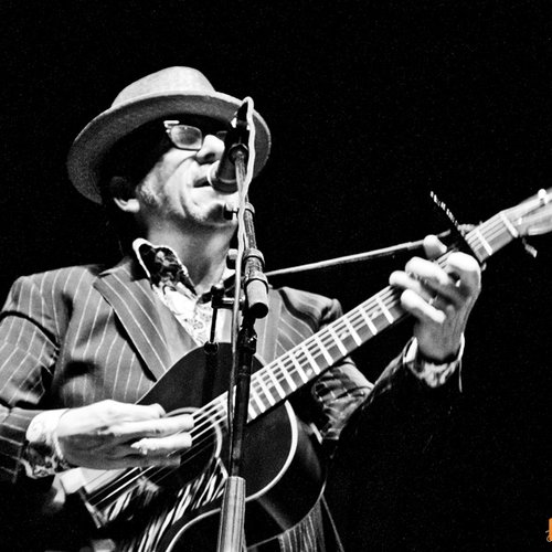 elvis-costello-live-concert-bucharest-2011-14