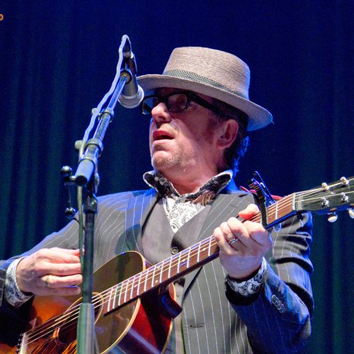 elvis-costello-live-concert-bucharest-2011-15