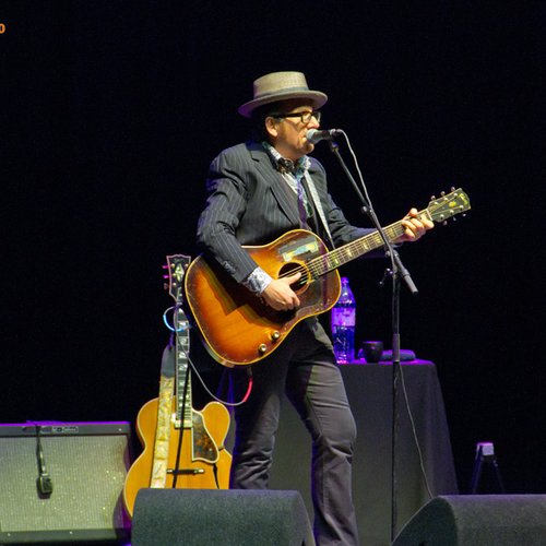 elvis-costello-live-concert-bucharest-2011-6