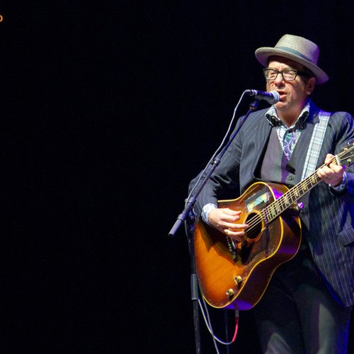 elvis-costello-live-concert-bucharest-2011-9
