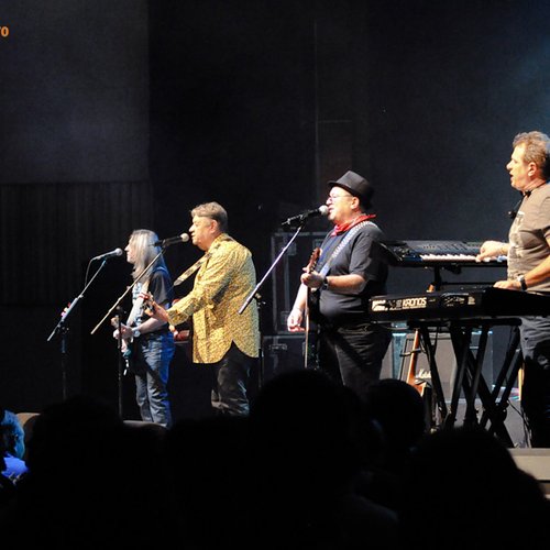 pasarea-colibri-live-bucuresti-19-ani-29