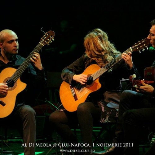 trio-zamfirescu-cluj-napoca-2011-1