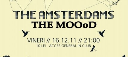 ams-web