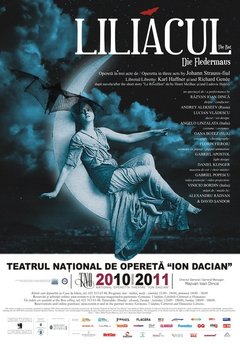 Liliacul_TNO1