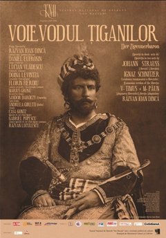 Voievodul-Ţiganilor