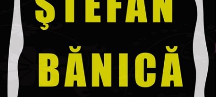 stefan banica
