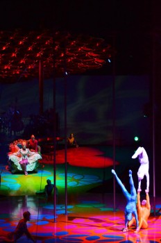 saltimbanco-cirque-du-soleil-bucharest-2012-11