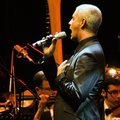 alessandro_safina