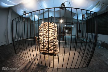 turbohalle-bucuresti-martie-2012-19