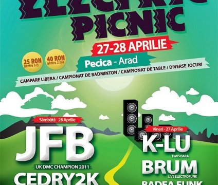 Electric Picnic 2012