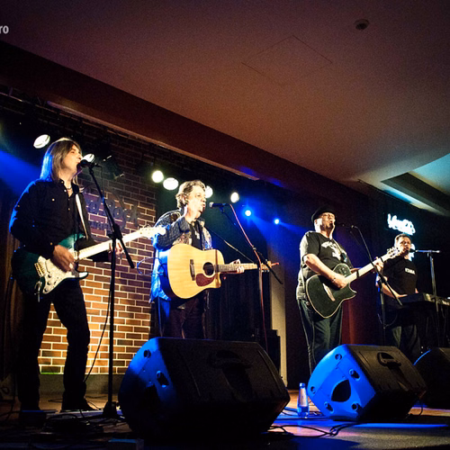 pasarea-colibri-hard-rock-cafe-bucuresti-2