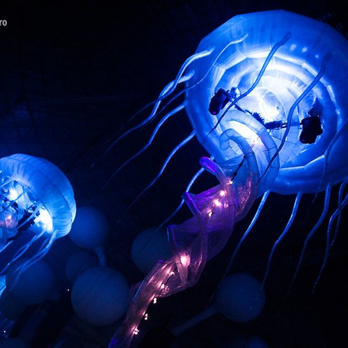 Sensation White, ROMEXPO Bucuresti, 21 aprilie 2012 Romania