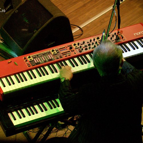 animals-and-friends-jukebox-bucharest-2012-10