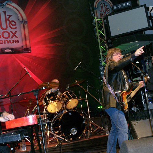 animals-and-friends-jukebox-bucharest-2012-13
