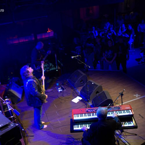 animals-and-friends-jukebox-bucharest-2012-14