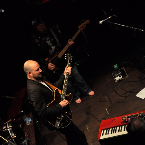 animals-and-friends-jukebox-bucharest-2012-15