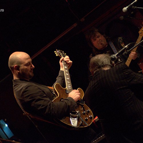 animals-and-friends-jukebox-bucharest-2012-16