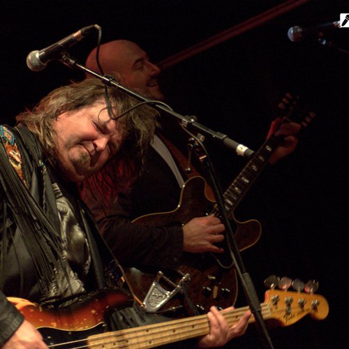animals-and-friends-jukebox-bucharest-2012-25