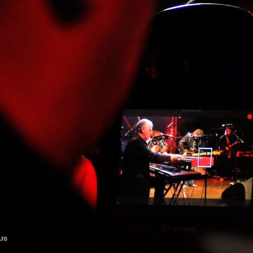 animals-and-friends-jukebox-bucharest-2012-27