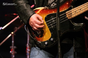 animals-and-friends-jukebox-bucharest-2012-6