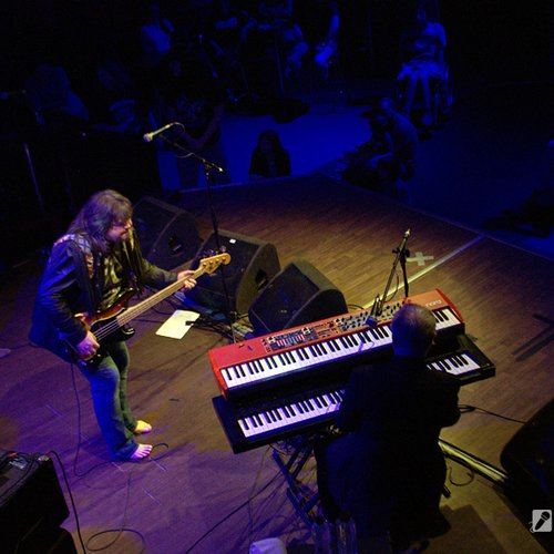 animals-and-friends-jukebox-bucharest-2012-9