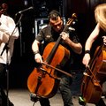 apocalytica