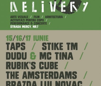 Street Delivery Timisoara