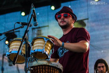 1-east-roots-stufstock-2012-vama-veche-3