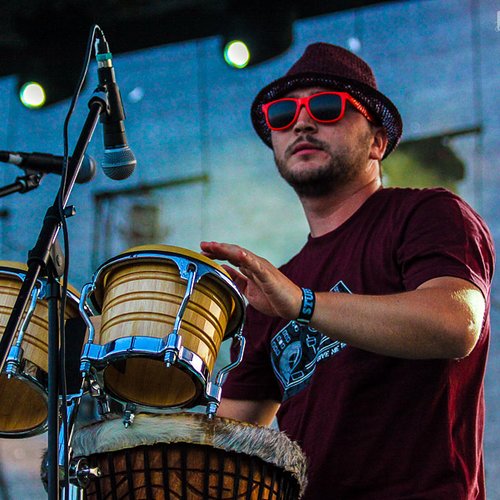 1-east-roots-stufstock-2012-vama-veche-3