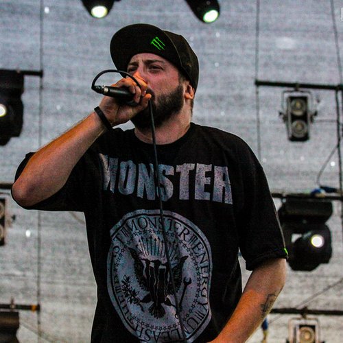 5-vendetta-stufstock-2012-vama-veche-10