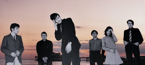 Pulp