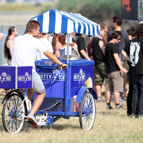 bestfest-2012-ziua-2-33