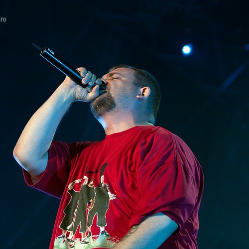 bug-mafia-bestfest-2012-3