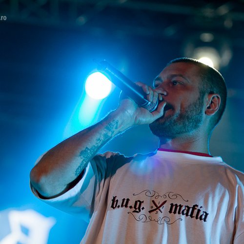 bug-mafia-bestfest-2012-4