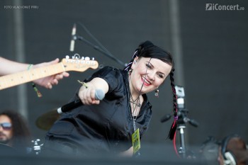 electric-fence-bestfest-2012-11