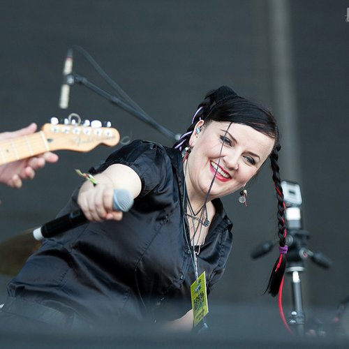 electric-fence-bestfest-2012-11