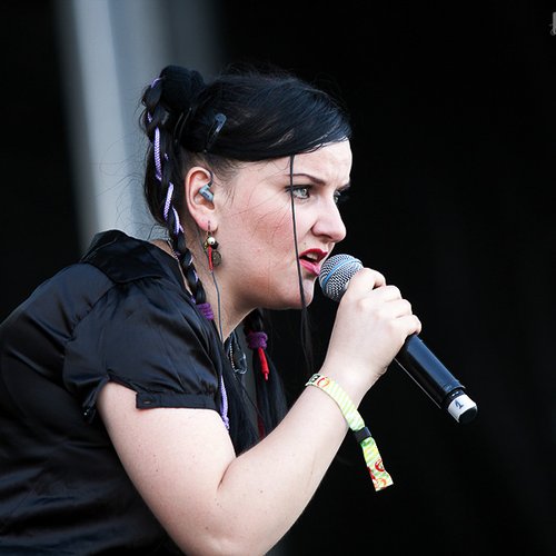 electric-fence-bestfest-2012-12