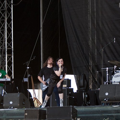 electric-fence-bestfest-2012-15