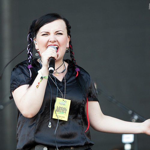 electric-fence-bestfest-2012-3