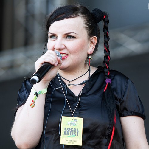 electric-fence-bestfest-2012-4