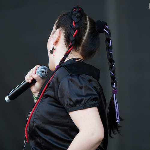 electric-fence-bestfest-2012-9