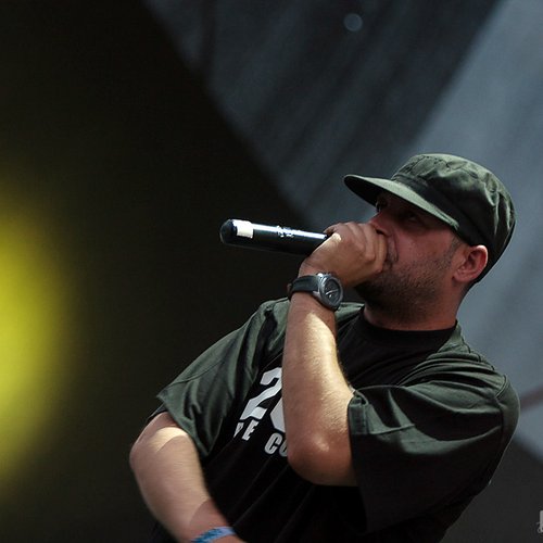 parazitii-bestfest-2012-19