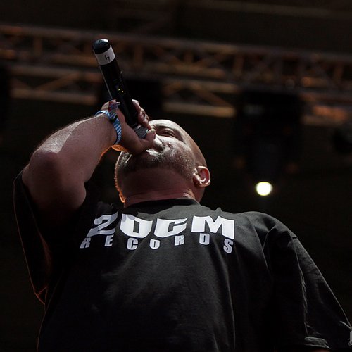 parazitii-bestfest-2012-25