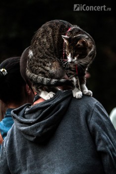 6-summer-well-2012-24