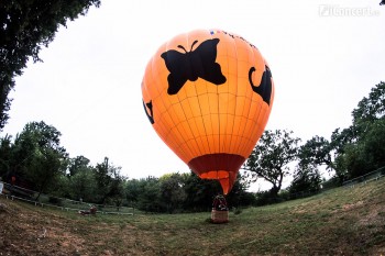 6-summer-well-2012-8