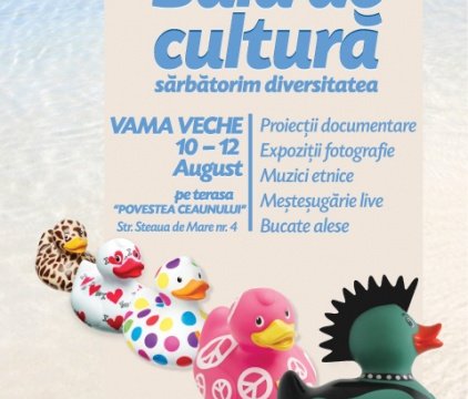 Afis Baia de Cultura_online