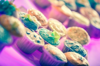 puma-love-thy-planet-bucharest-2012-1